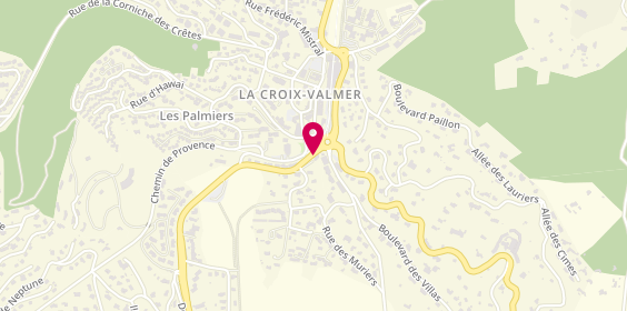 Plan de Selectour, 1041 Boulevard de Saint Raphaël, 83420 La Croix-Valmer