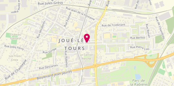 Plan de Selectour, 17 avenue Victor Hugo, 37300 Joué-lès-Tours
